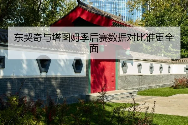 东契奇与塔图姆季后赛数据对比谁更全面